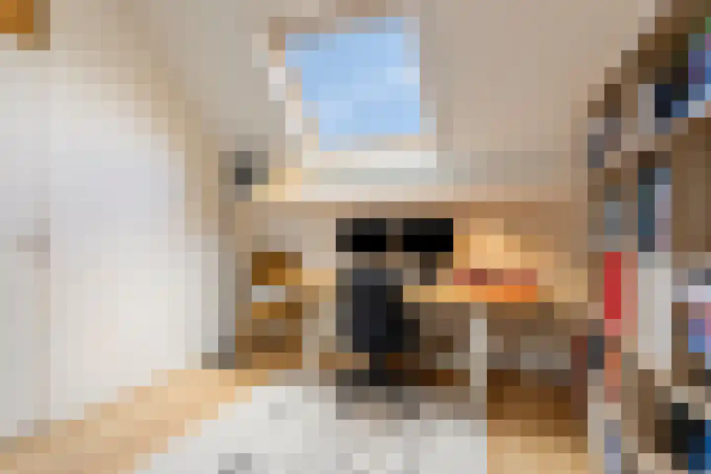 Nuenderbeekselaan 79 Nuenen thumbnail 19