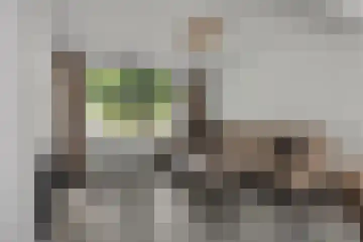 Nuenenseweg 34 Geldrop thumbnail 10