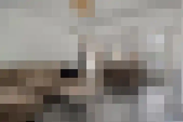 Nuenenseweg 34 Geldrop thumbnail 11