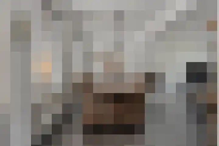 Nuenenseweg 34 Geldrop thumbnail 12