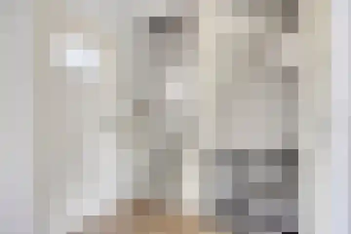 Nuenenseweg 34 Geldrop thumbnail 16