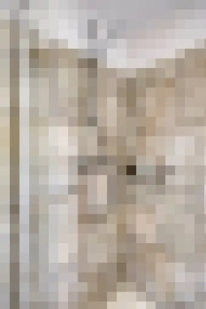 Nuenenseweg 34 Geldrop thumbnail 21