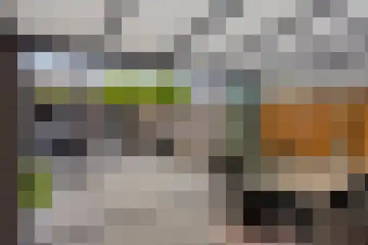 Nuenenseweg 34 Geldrop thumbnail 27