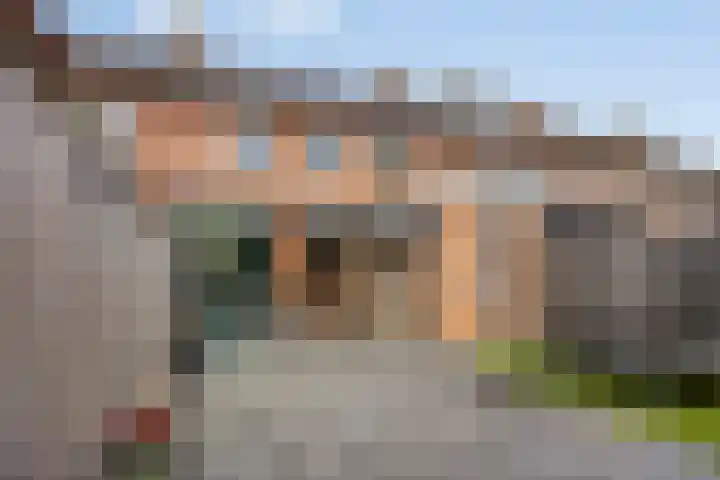 Nuenenseweg 34 Geldrop thumbnail 28