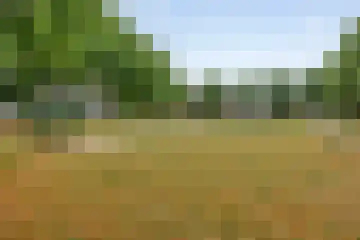 Nuenenseweg 34 Geldrop thumbnail 29