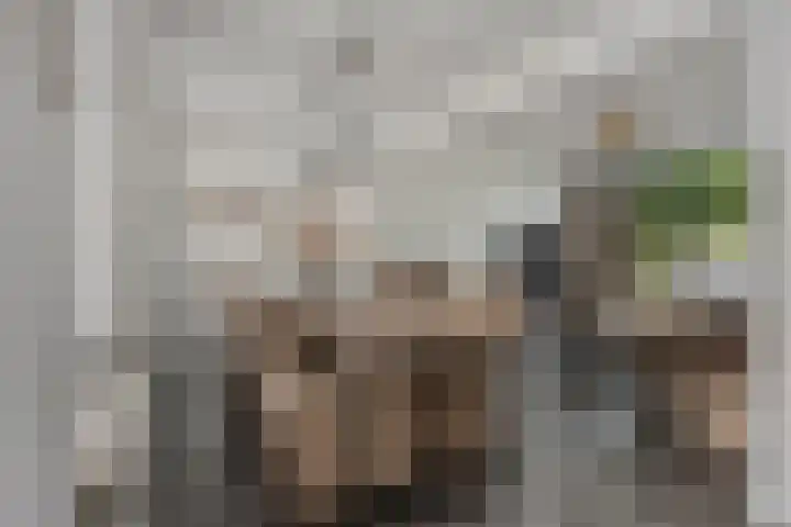 Nuenenseweg 34 Geldrop thumbnail 8