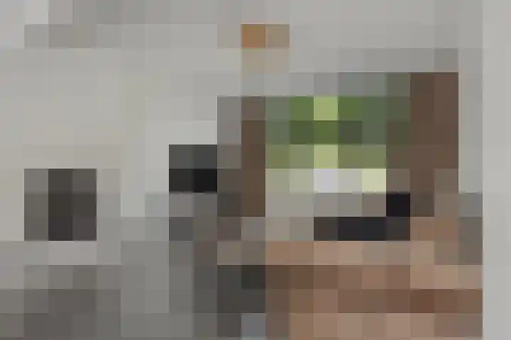 Nuenenseweg 34 Geldrop thumbnail 9