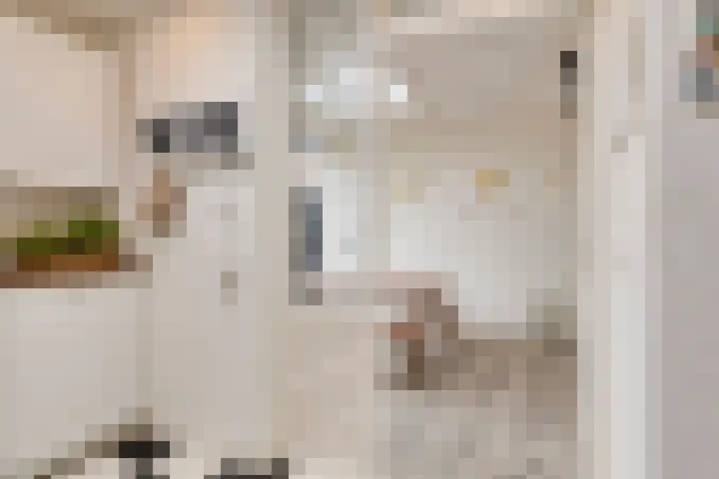 Nuenenseweg 35 Geldrop thumbnail 17