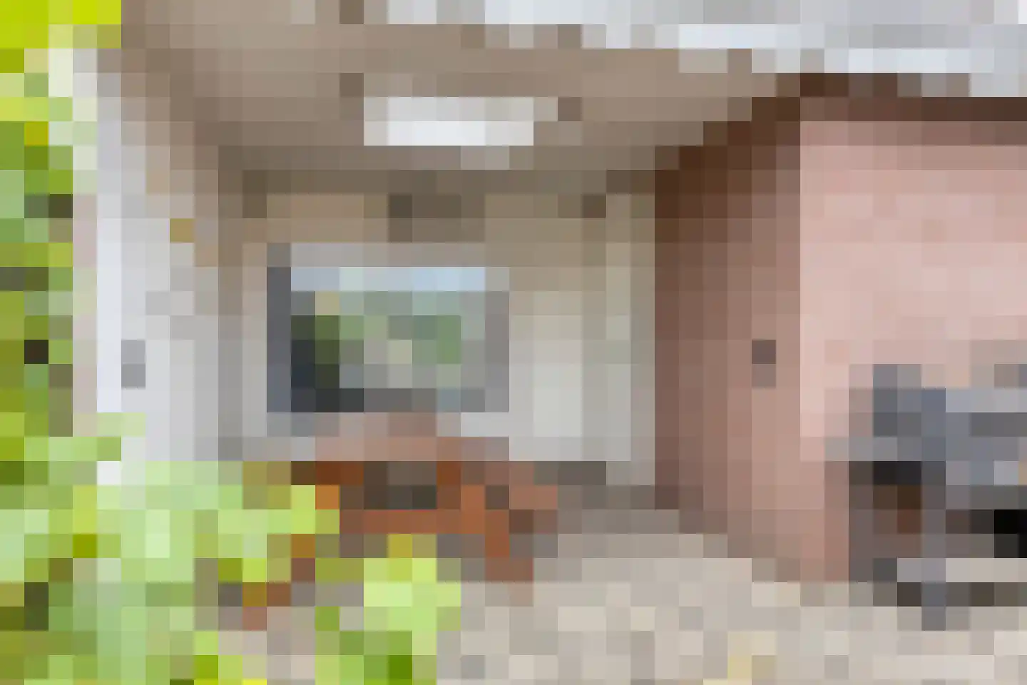 Nuenenseweg 35 Geldrop thumbnail 20