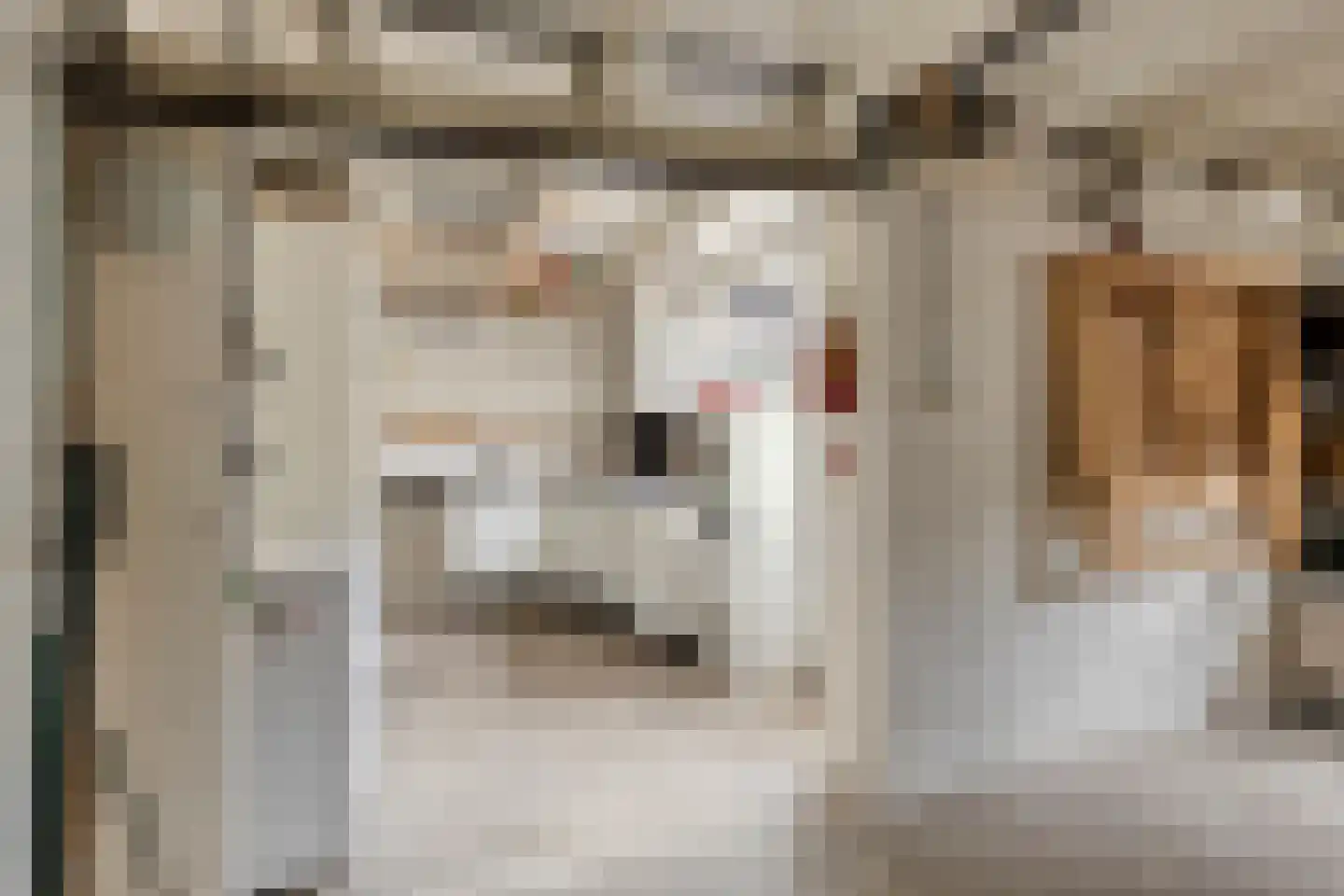 Nuenenseweg 35 Geldrop thumbnail 22