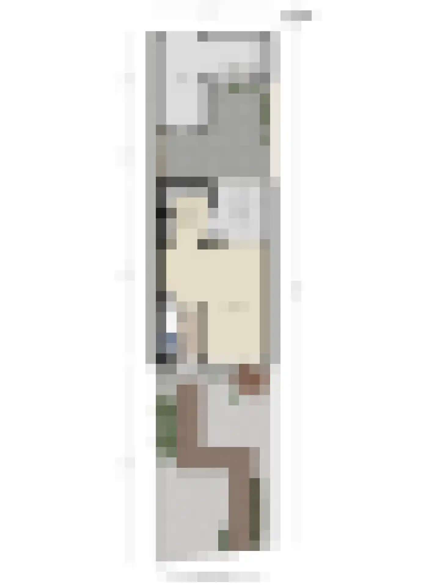 Nuenenseweg 35 Geldrop thumbnail 42