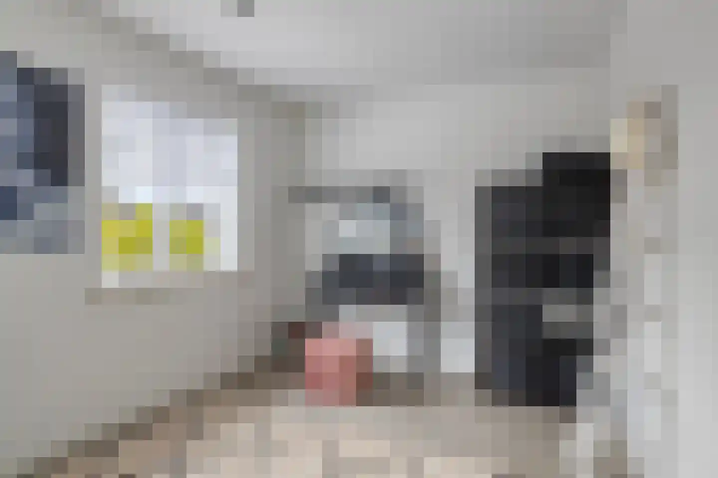 Nuenenseweg 36 Geldrop thumbnail 25
