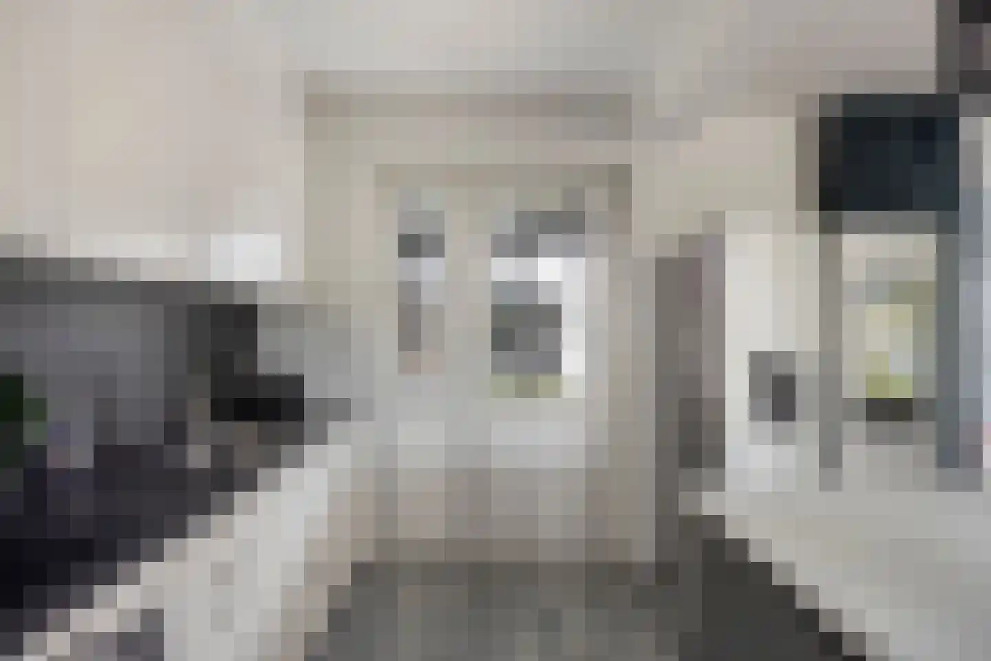 Nuenenseweg 53 Geldrop thumbnail 18