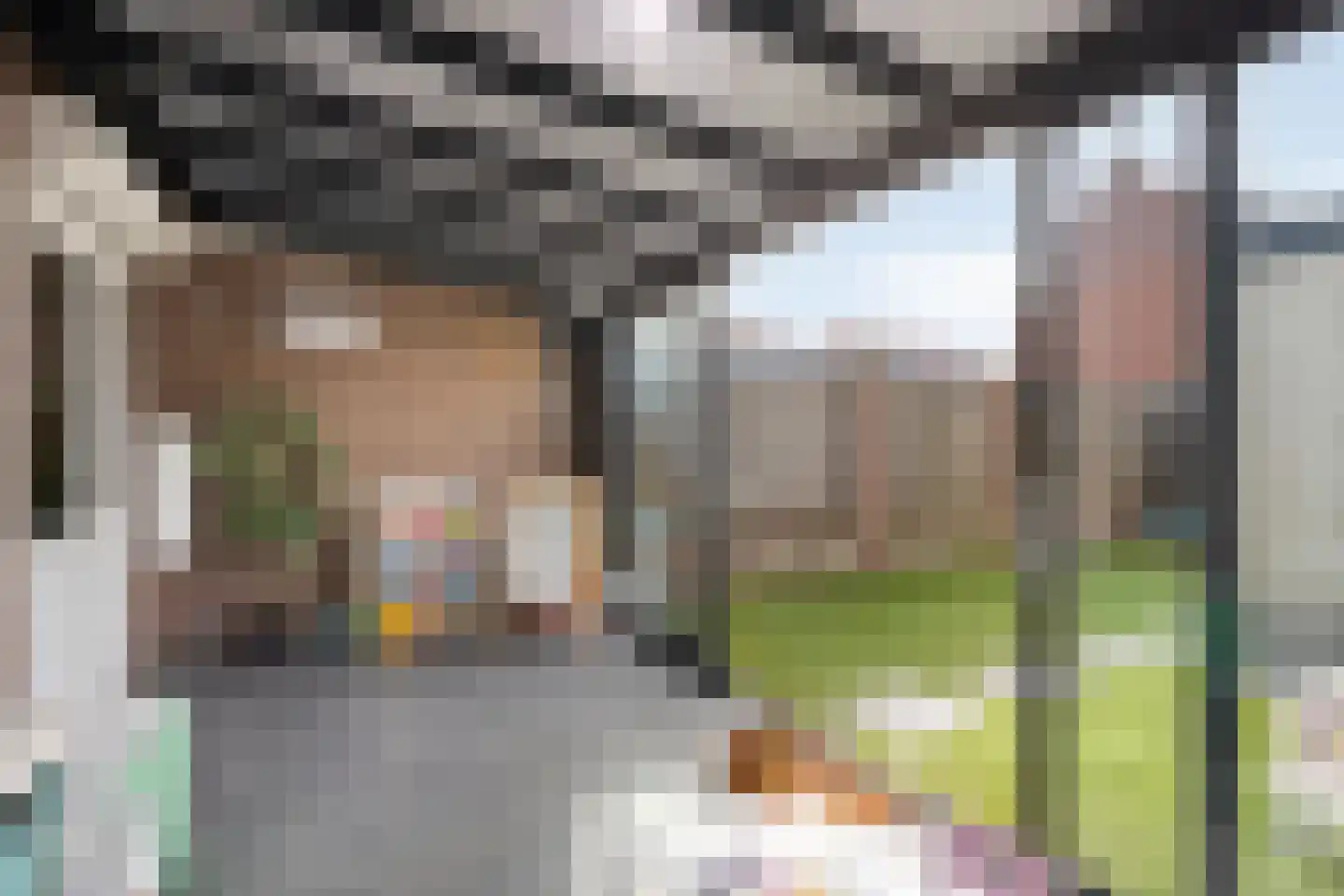 Nuenenseweg 53 Geldrop thumbnail 21