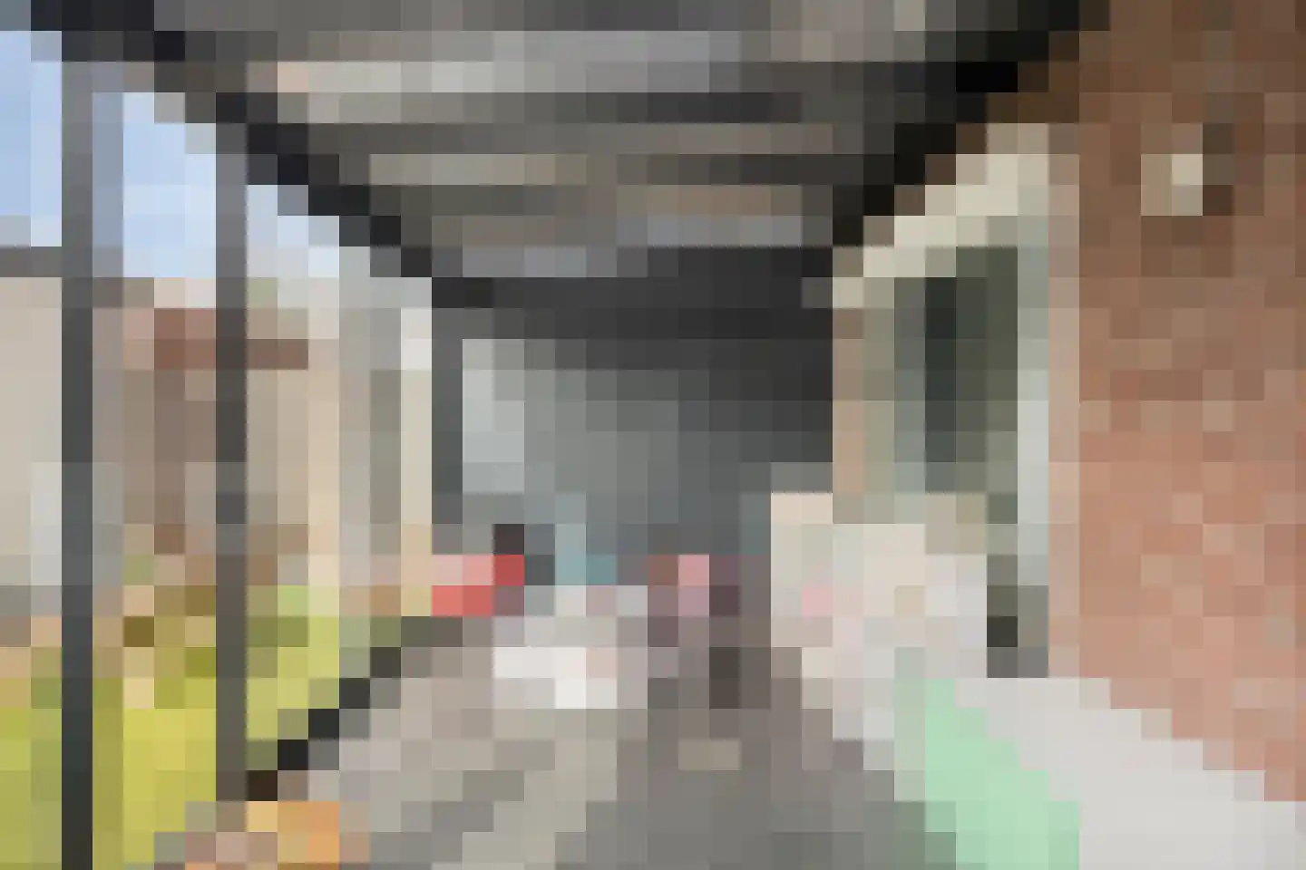 Nuenenseweg 53 Geldrop thumbnail 22