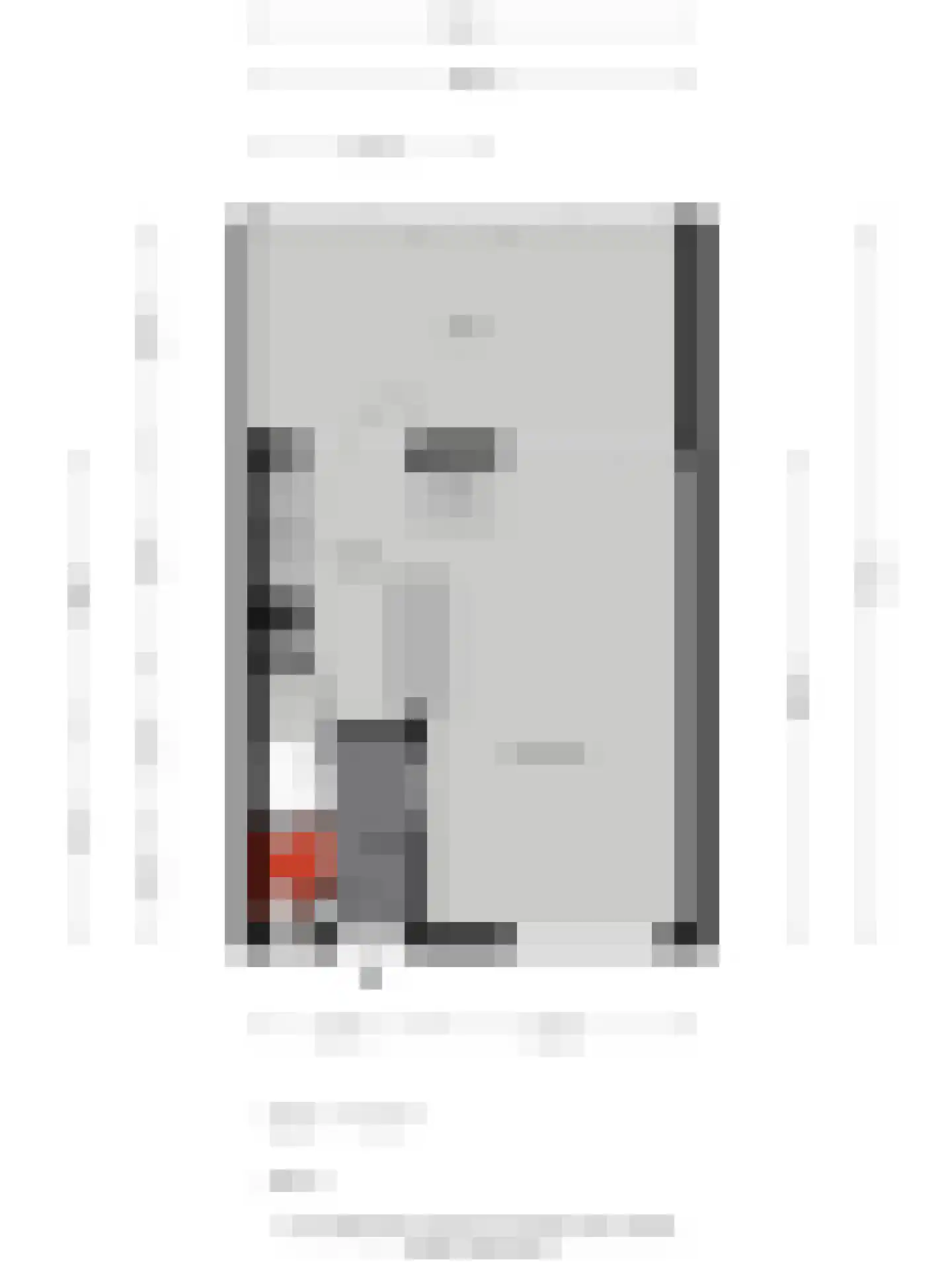 Nuenenseweg 53 Geldrop thumbnail 45