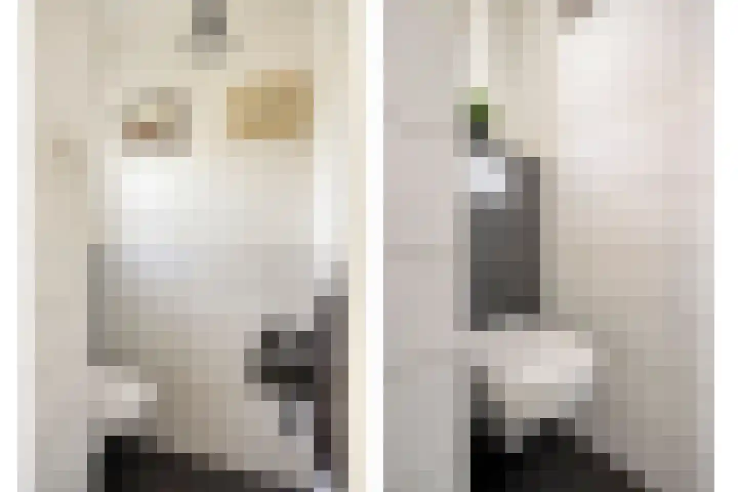 Nuenenseweg 53 Geldrop thumbnail 7