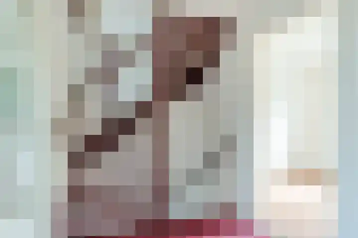 Nuenenseweg 6 Geldrop thumbnail 20
