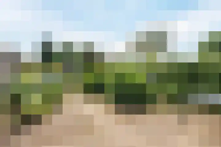 Nuenenseweg 6 Geldrop thumbnail 27
