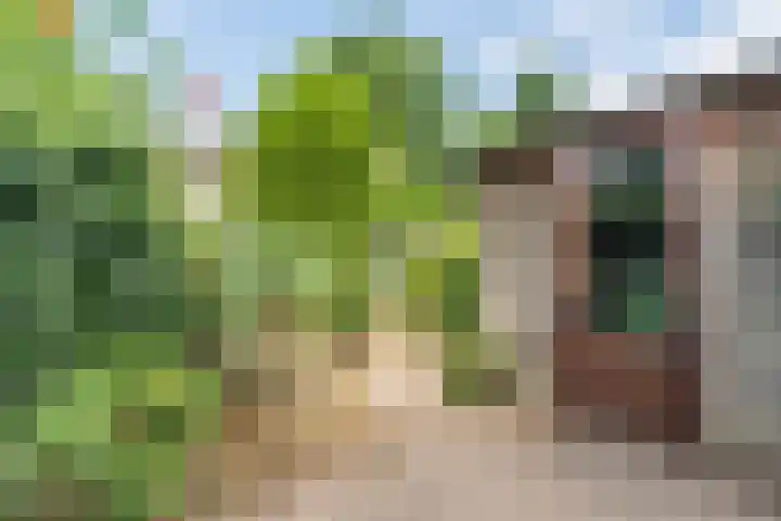 Nuenenseweg 6 Geldrop thumbnail 28