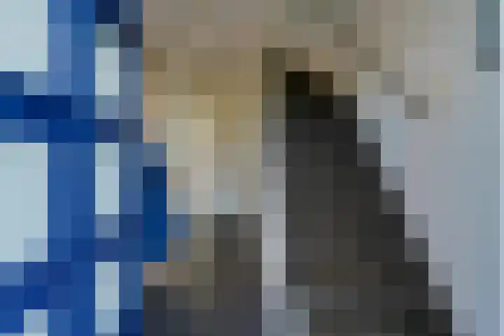 Nuenenseweg 99 Geldrop thumbnail 7