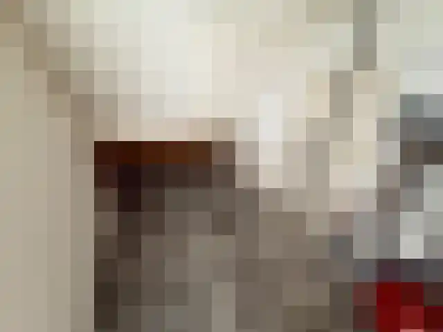 Nuenveld 3 Berlicum thumbnail 14