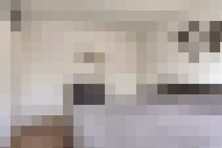 Nuenveld 7 Berlicum thumbnail 18
