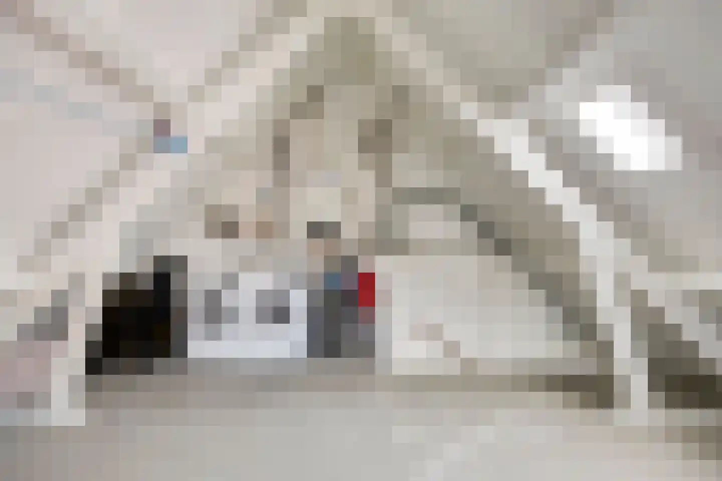 Nuenveld 7 Berlicum thumbnail 25