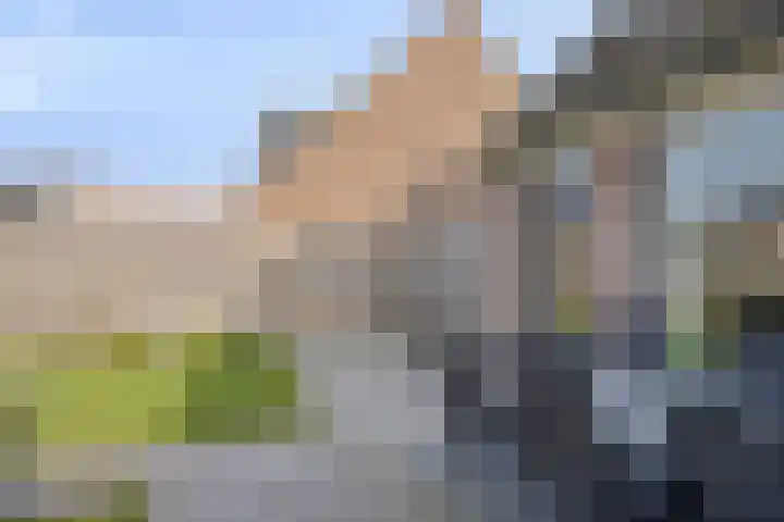 Nuenveld 7 Berlicum thumbnail 27