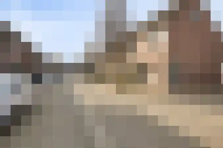 Nuenveld 7 Berlicum thumbnail 34