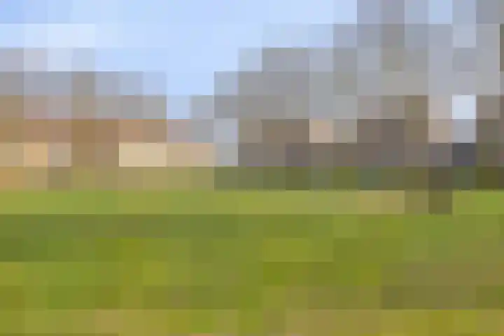Nuenveld 7 Berlicum thumbnail 35