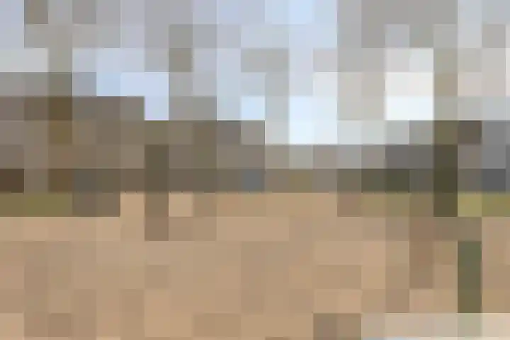 Nuenveld 7 Berlicum thumbnail 36