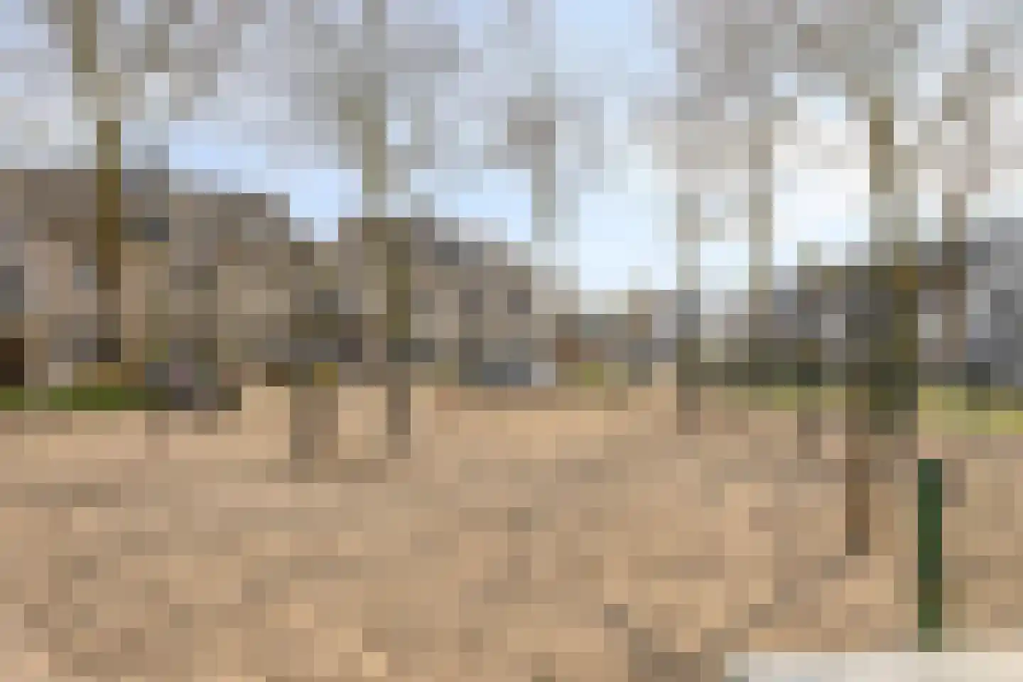 Nuenveld 7 Berlicum thumbnail 36