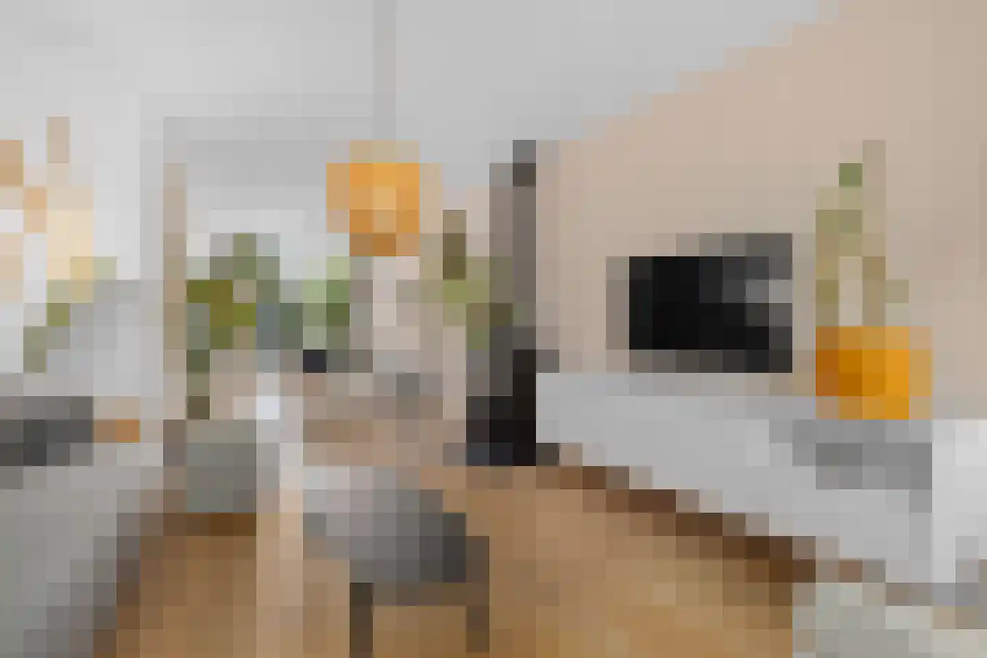 Nuhout van der Veenstraat 13 Castricum thumbnail 12