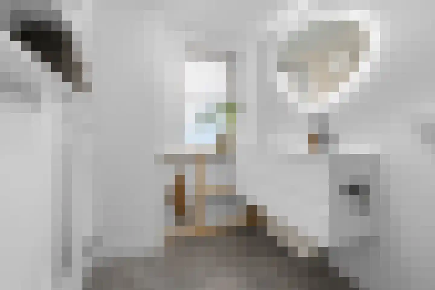 Nuhout van der Veenstraat 13 Castricum thumbnail 29