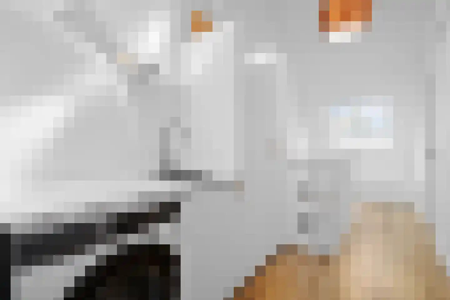Nuhout van der Veenstraat 13 Castricum thumbnail 37