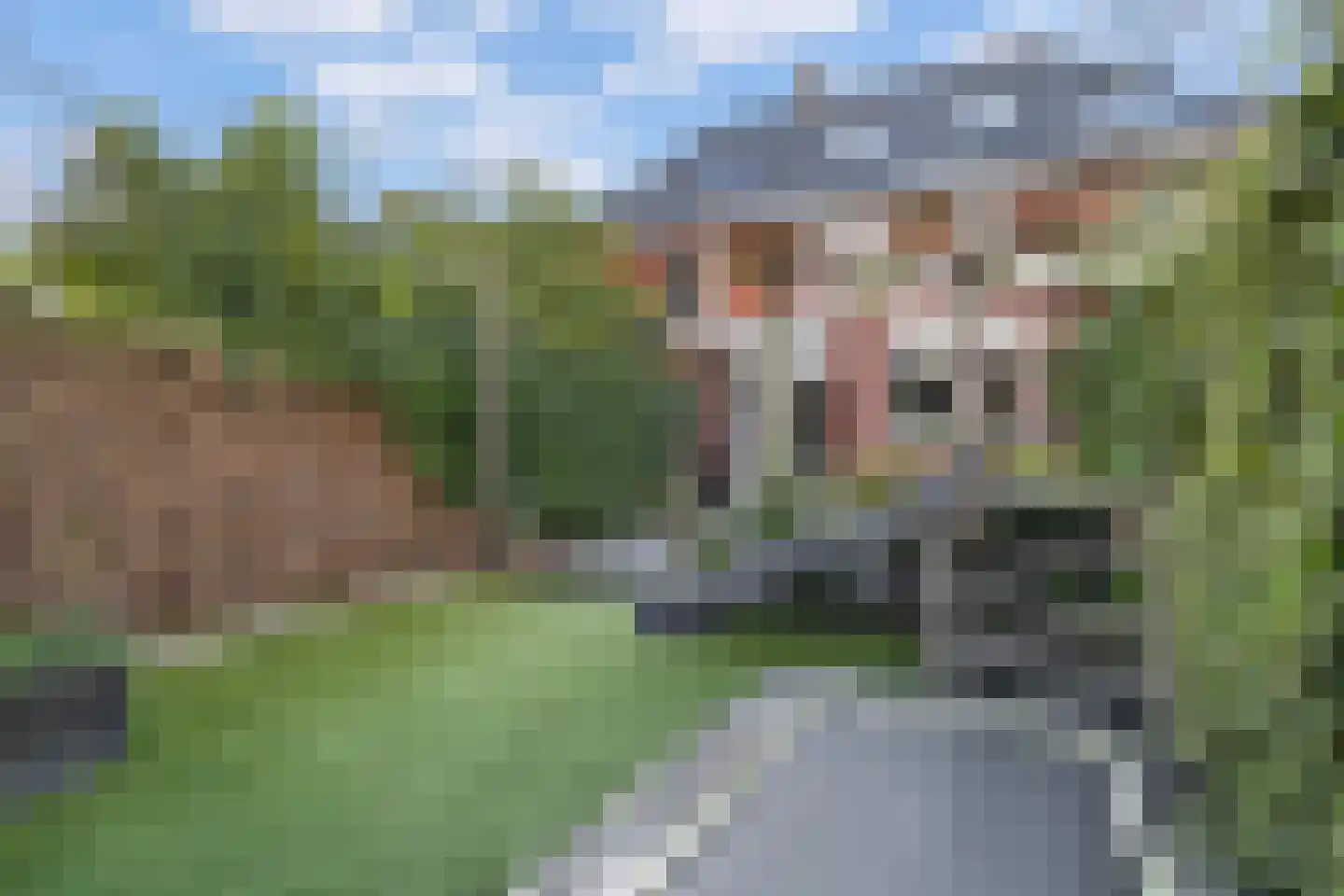 Nuhout van der Veenstraat 13 Castricum thumbnail 42