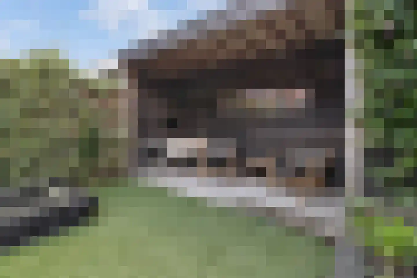 Nuhout van der Veenstraat 13 Castricum thumbnail 44