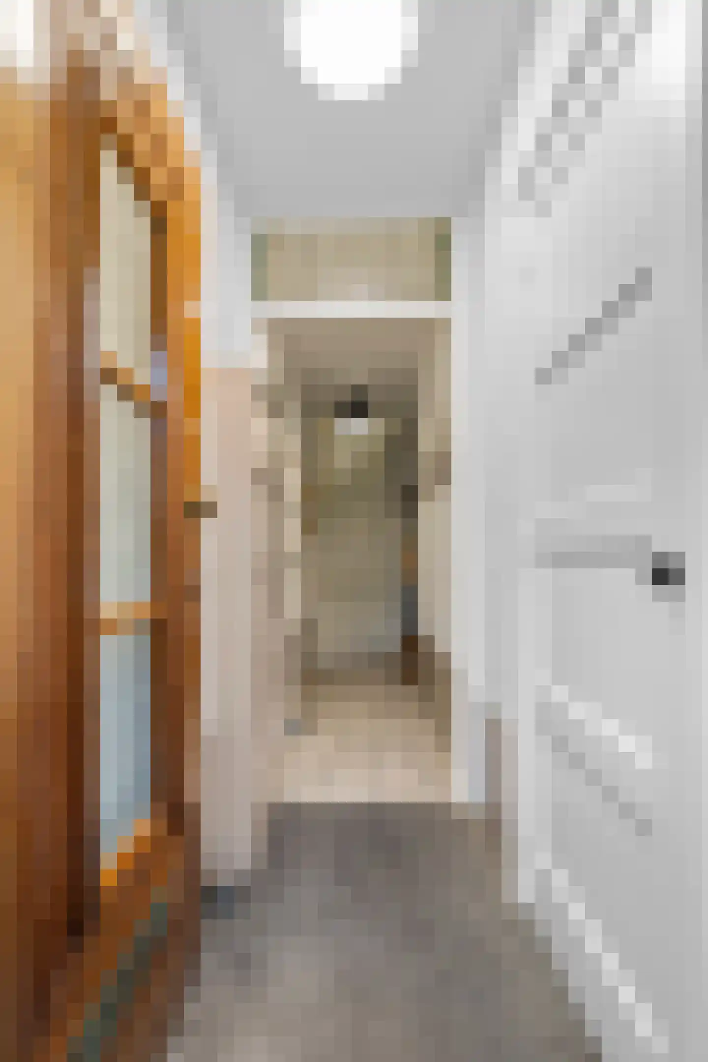 Nuhout van der Veenstraat 13 Castricum thumbnail 7