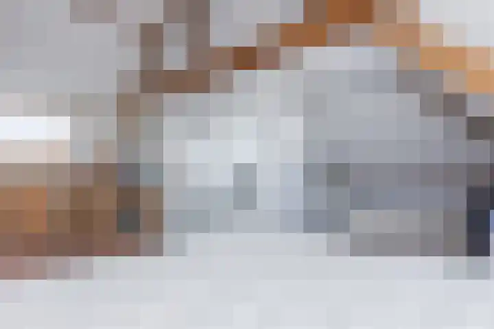 Nuhout van der Veenstraat 15 Castricum thumbnail 30