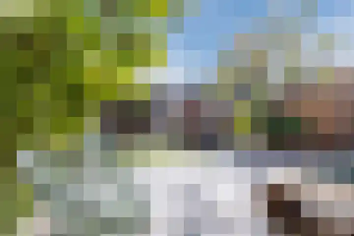 Nuhout van der Veenstraat 15 Castricum thumbnail 33