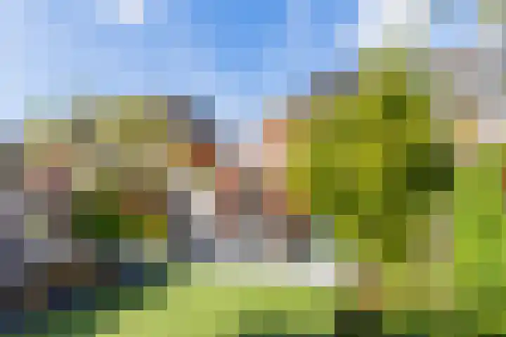 Nuhout van der Veenstraat 15 Castricum thumbnail 34