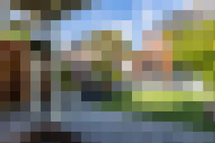 Nuhout van der Veenstraat 15 Castricum thumbnail 35