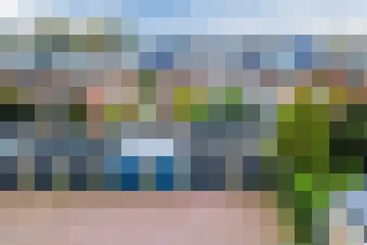 Nuhout van der Veenstraat 15 Castricum thumbnail 40