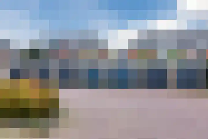 Nuhout van der Veenstraat 15 Castricum thumbnail 41