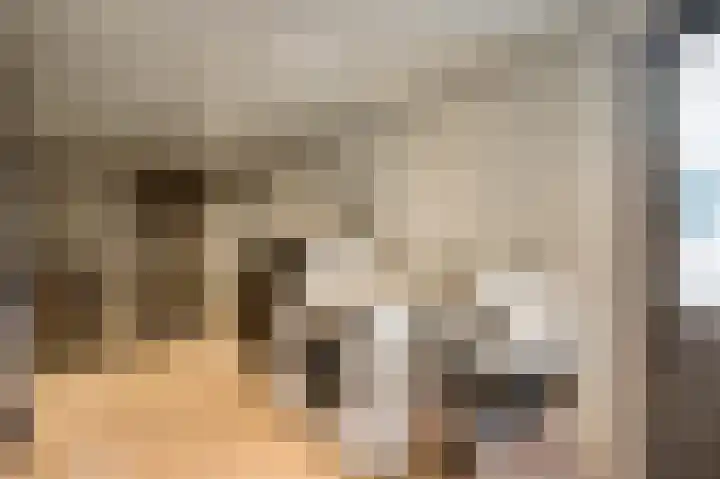 Nuienplein 22 Hunsel thumbnail 10