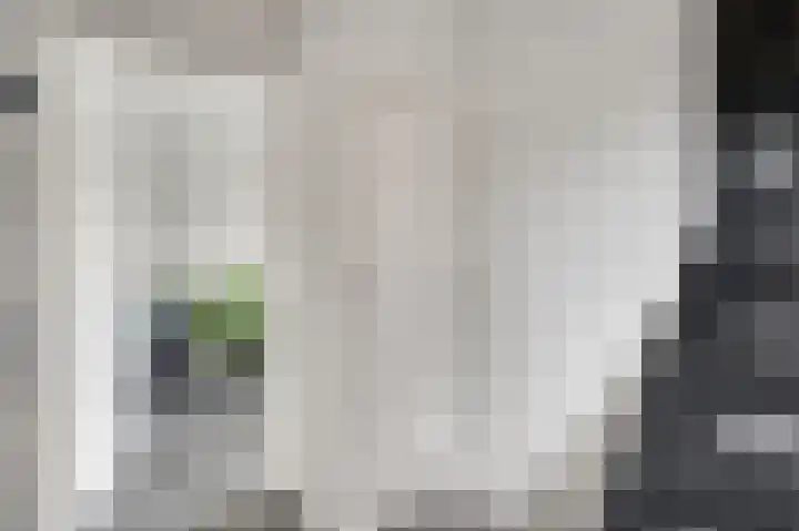 Nuienplein 22 Hunsel thumbnail 12