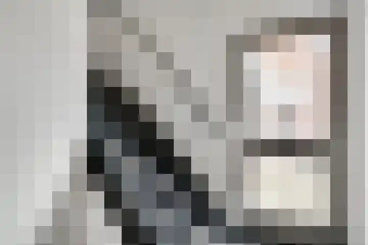 Nuienplein 22 Hunsel thumbnail 14