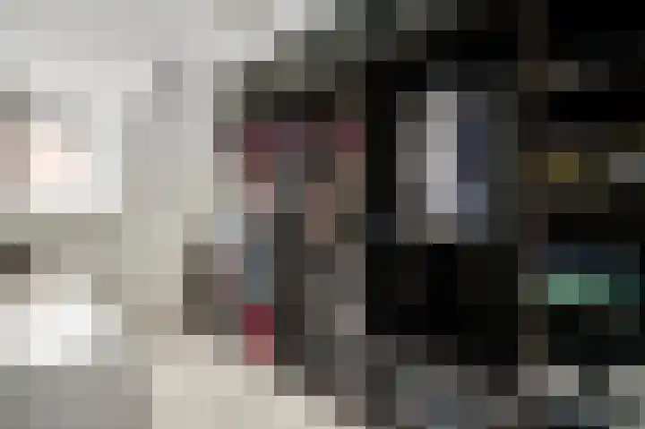 Nuienplein 22 Hunsel thumbnail 19
