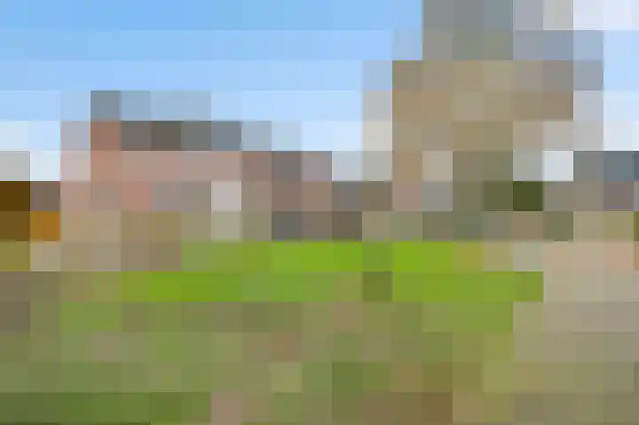 Nuienplein 22 Hunsel thumbnail 28
